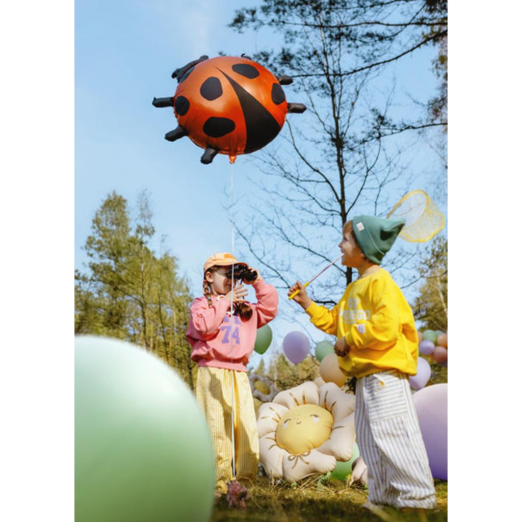 Marienkäfer-Folienballon, 85x83 cm, Mix