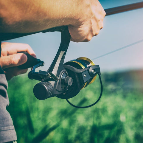 Fischruten kaufen bei clickfinger