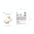 Folienballon Hase, 67x88 cm PartyDeco 11