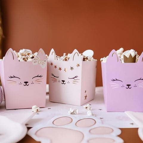 Snackboxen mit Katzenmotiv PartyDeco 3